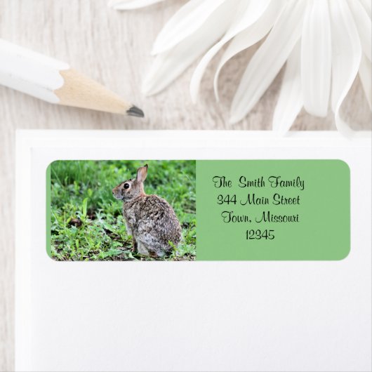 Bunny Etiket (Insitu)
