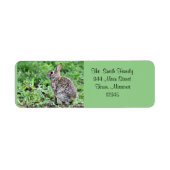 Bunny Etiket (Voorkant)