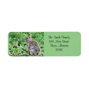 Bunny Etiket