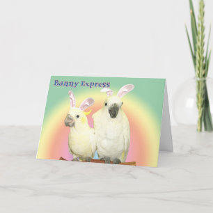 Bunny Express Feestdagen Kaart