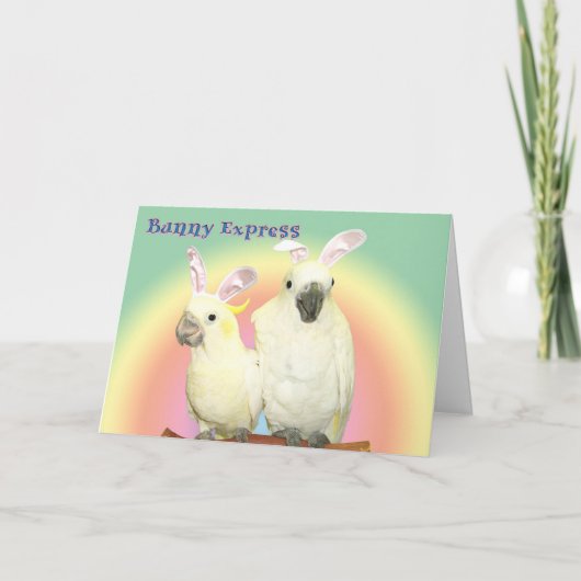 Bunny Express Feestdagen Kaart (Voorkant)