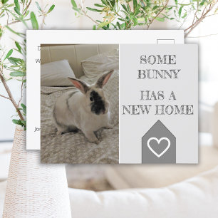 Bunny Foto die we hebben verplaatst   Nieuwe aanko Briefkaart