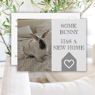 Bunny Foto die we hebben verplaatst | Nieuwe aanko Briefkaart