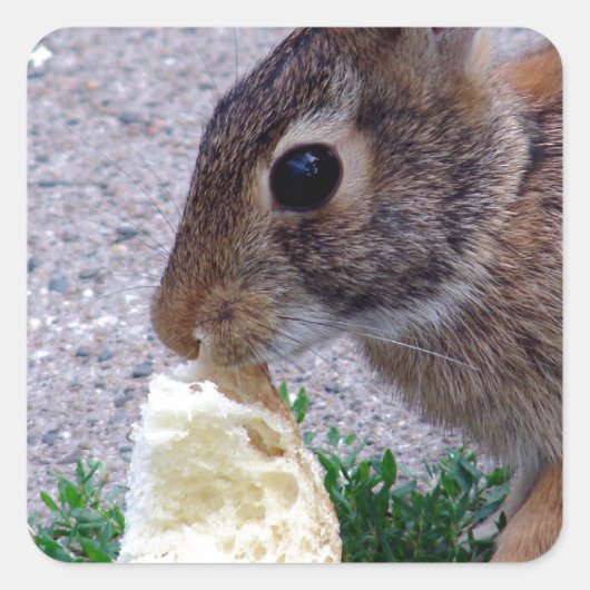 Bunny gevonden brood vierkante sticker (Voorkant)