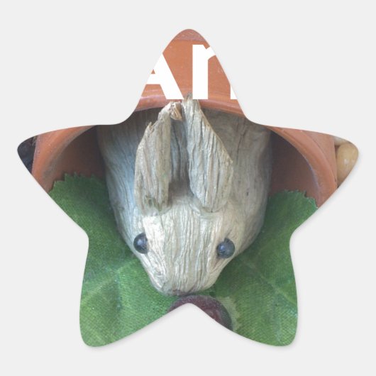 Bunny Home Honey Home Home Ster Sticker (Voorkant)