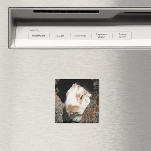 Bunny humbug magnet (Insitu (Vaatwasser))