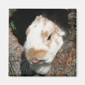 Bunny humbug magnet (Voorkant)