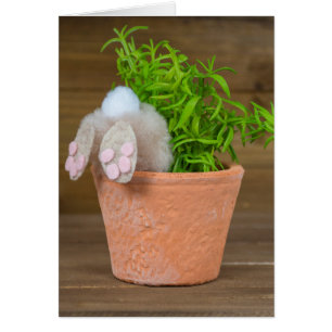 Bunny in de blote pot