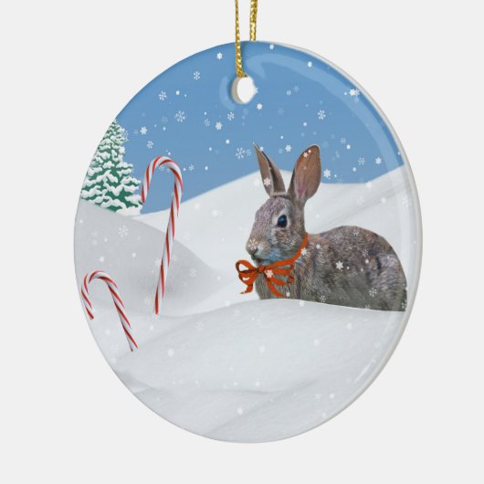 Bunny in de Sneeuwkerstversiering Keramisch Ornament (Links)