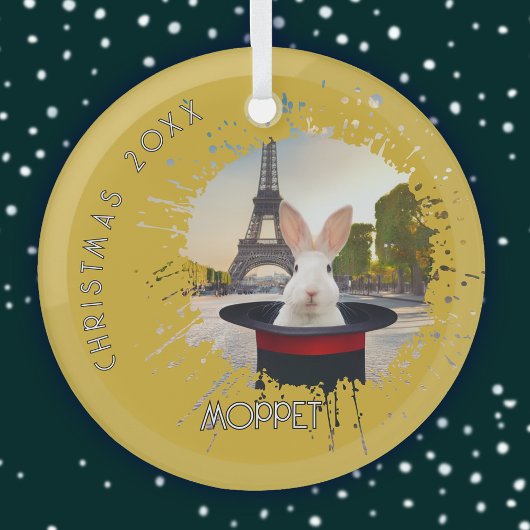 Bunny in een zwart Pet Glas Ornament