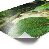 Bunny in Repose Foto Afdruk (Hoek)