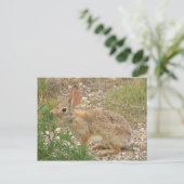 Bunny in Supper Briefkaart (Staand voorkant)