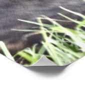 Bunny In The Grass kunstwerk Poster (Hoek)