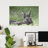 Bunny In The Grass kunstwerk Poster (Thuiskantoor)