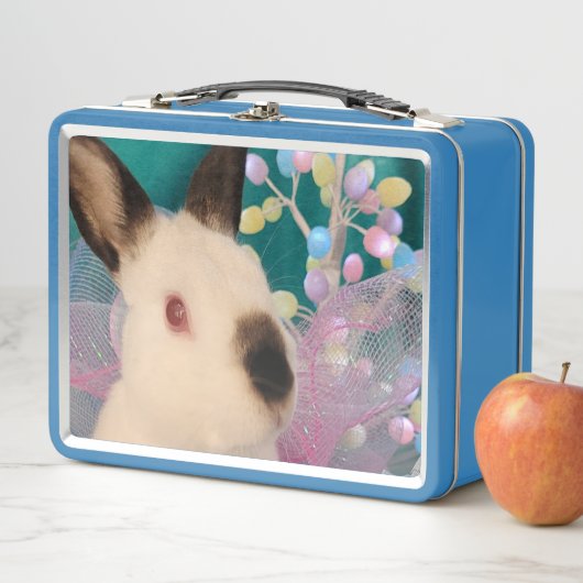 Bunny Joy Lunch Box (In situ)