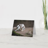 Bunny Kaart (Voorkant)
