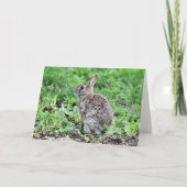 Bunny Kaart (Voorkant)