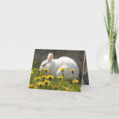Bunny Kaart (Achterkant)