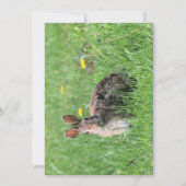 Bunny Kaart (Voorkant)