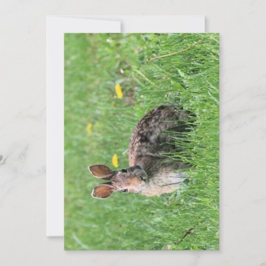 Bunny Kaart (Voorkant)
