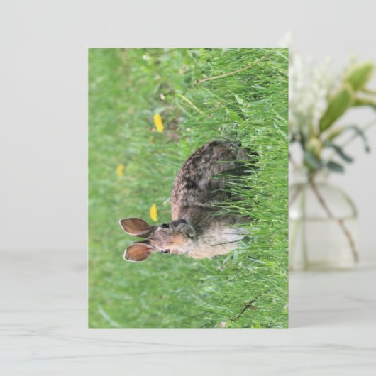 Bunny Kaart (Staand voorkant)