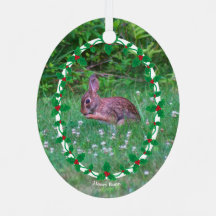 Bunny & Kardinaal of Uw Foto met Holly Border