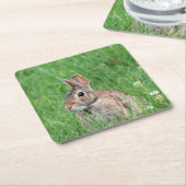 Bunny Kartonnen Onderzetters (Schuin)