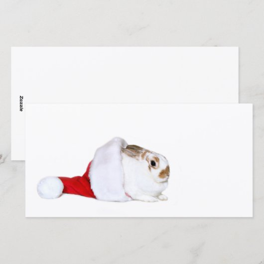 Bunny kerst feestdagenkaart (Voorkant / Achterkant)