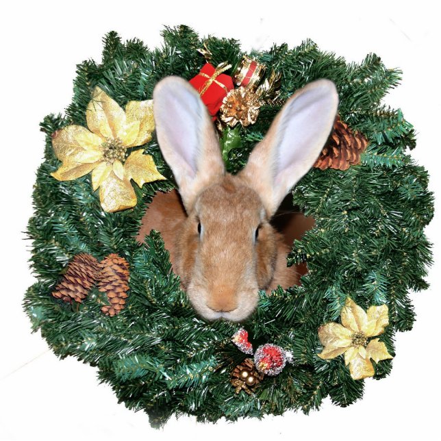 Bunny-kerstversiering Fotobeeldje Ornament (Voorkant)