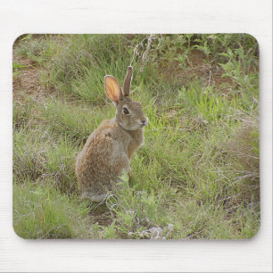 Bunny kijkt over schouder muismat
