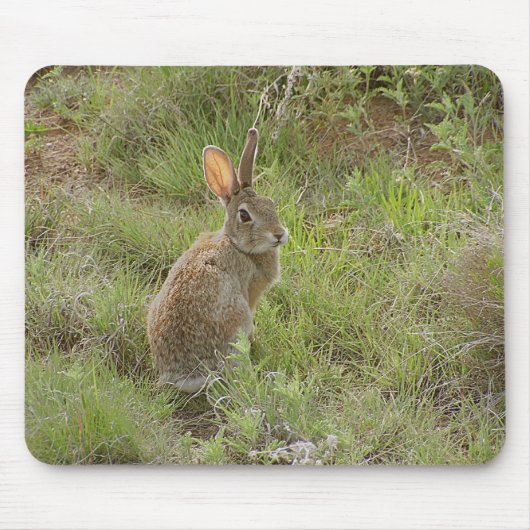 Bunny kijkt over schouder muismat (Voorkant)