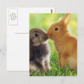 Bunny Kiss Briefkaart (Voorkant / Achterkant)