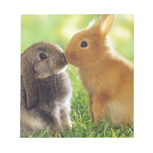 Bunny Kiss Notitieblok (Voorkant)