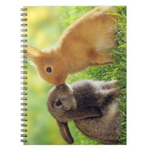 Bunny Kiss Notitieboek