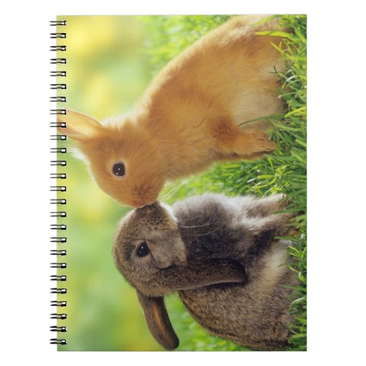 Bunny Kiss Notitieboek (Voorkant)