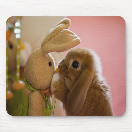 Bunny Kissing "Stuffed Speelgoed Bunny" Mousepad Muismat (Voorkant)