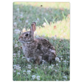 Bunny Klembord (Achterkant)