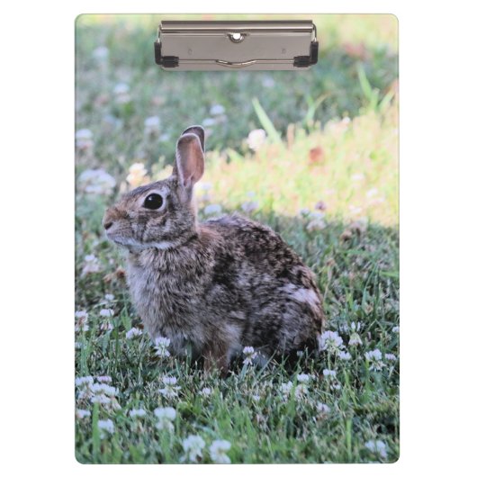 Bunny Klembord (Voorkant)