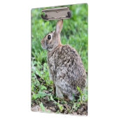 Bunny Klembord (Links)
