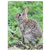Bunny Klembord (Achterkant)