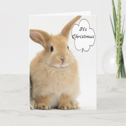 BUNNY KOMT NAAR BUITEN OM VROLIJK KERSTFEEST TE ZE FEESTDAGEN KAART (Voorkant)