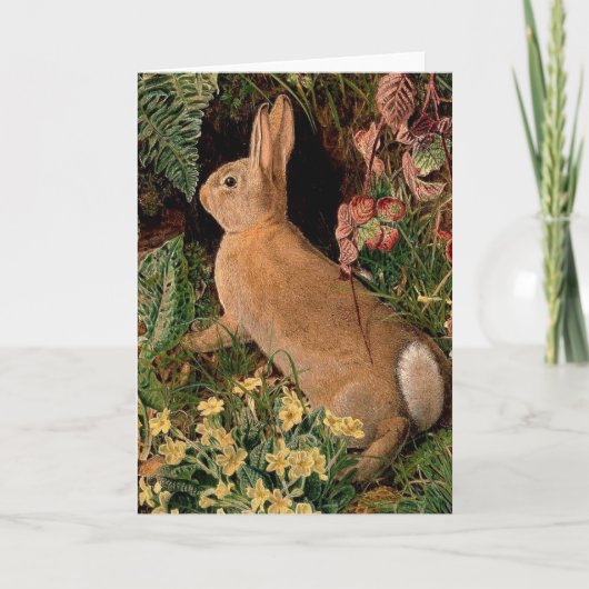 Bunny konijnenbloemen vergieten bosbouwhulp kaart (Voorkant)