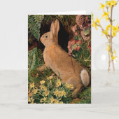 Bunny konijnenbloemen vergieten bosbouwhulp kaart (Gele Bloem)
