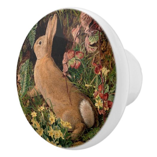 Bunny konijnenbloemen vergieten  bosbouwhulp keramische knop (Rechts)