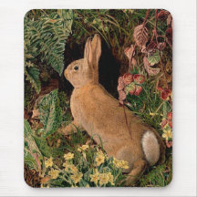 Bunny konijnenbloemen vergieten bosbouwhulp