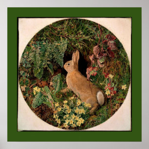 Bunny konijnenbloemen vergieten  bosbouwhulp poster