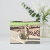 bunny konijnenfoto Paaslente Briefkaart (Staand voorkant)