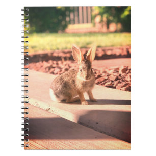 bunny konijnenfoto Paaslente Notitieboek