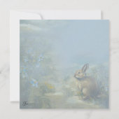 Bunny Lane (Achterkant)