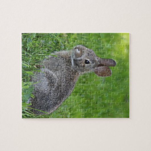 Bunny Legpuzzel (Horizontaal)